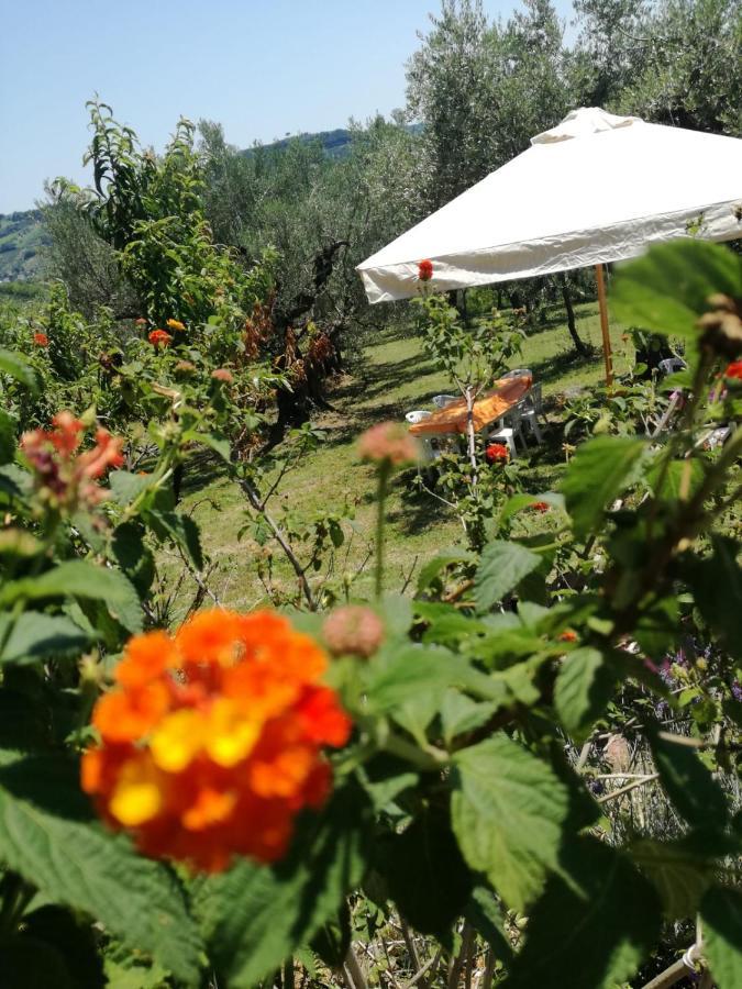 Vacanze in collina, tra mare e monti Bucchianico Esterno foto